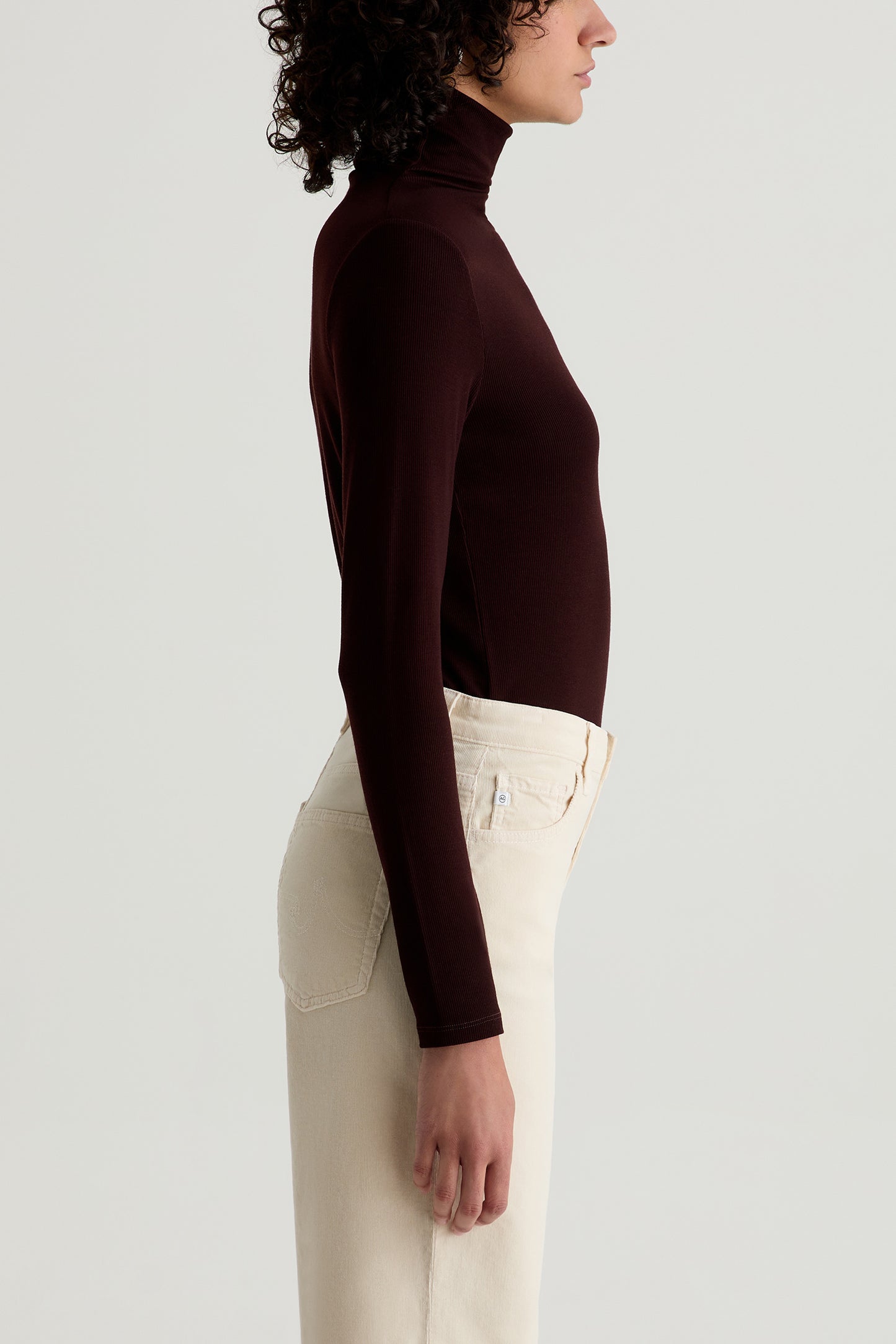 Chels Turtleneck Top