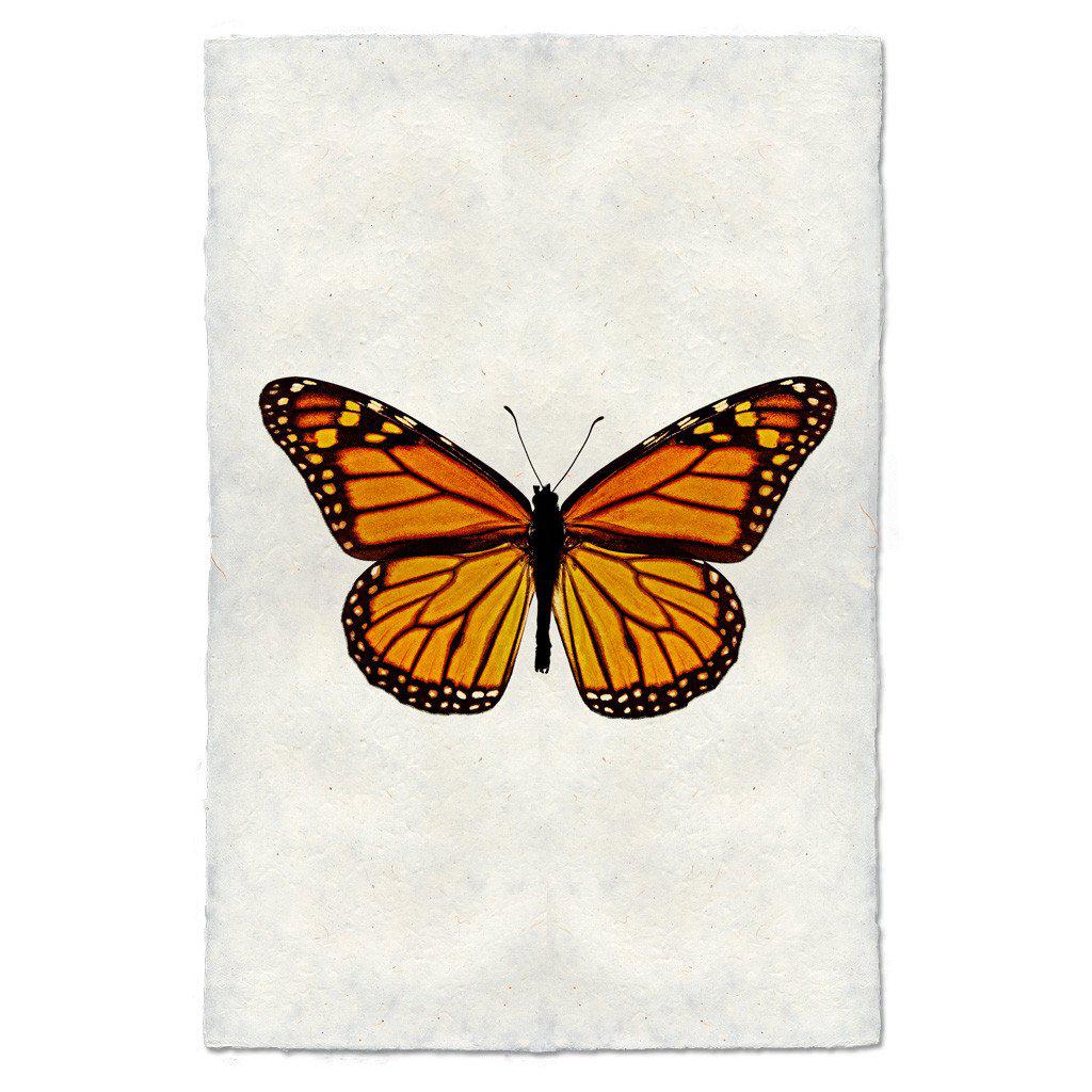 Butterfly #13 Print