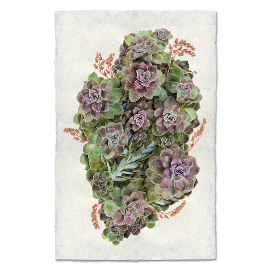 Collective Leatherpetal Print