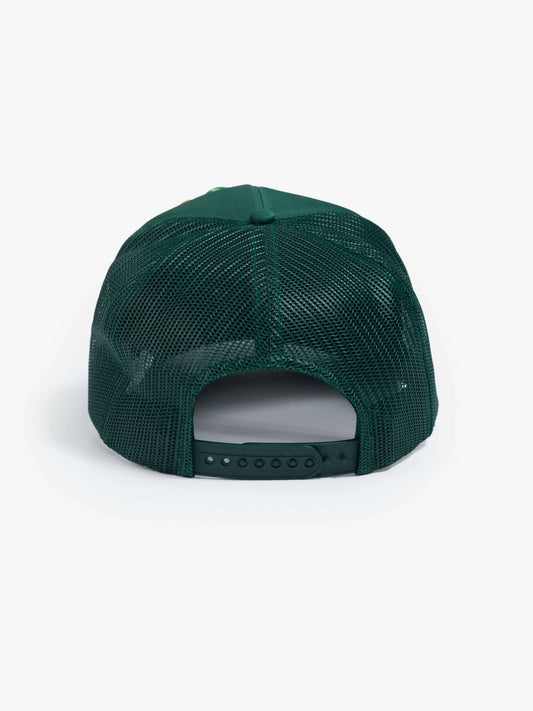 The 10-4 Hat - Expert Frogger