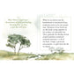 Healing After Loss Book