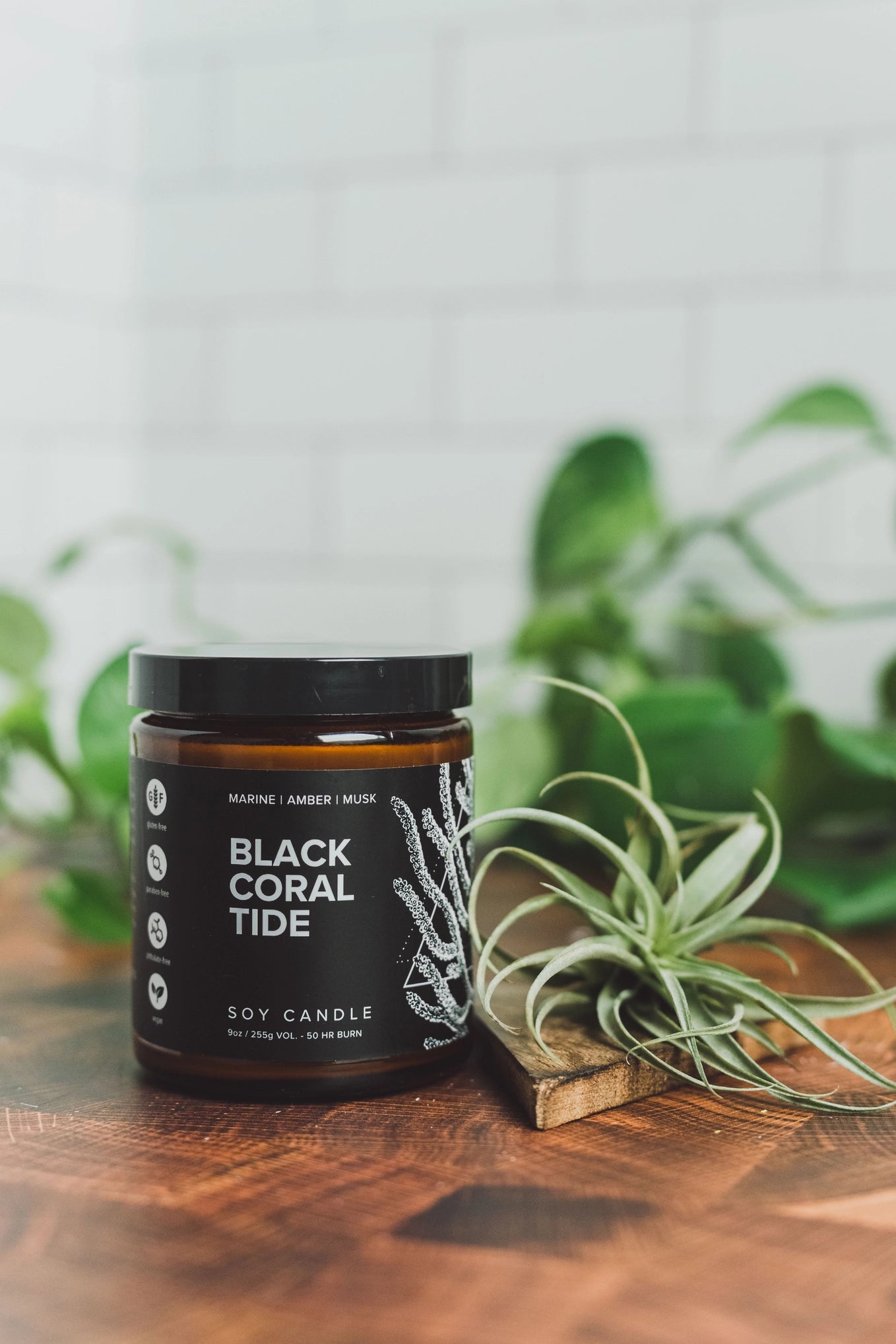 Black Coral Tide Candle - 9 oz