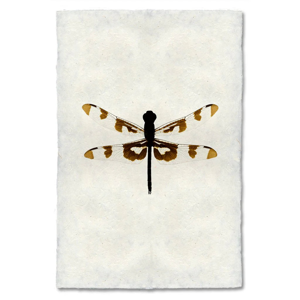 Dragonfly Print