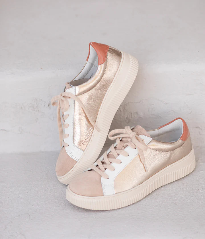 Fianna Sneaker - Platino Biscotti