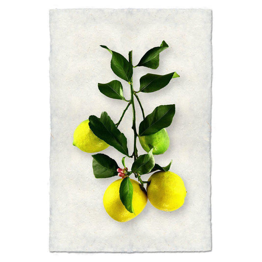 Four Lemons Print