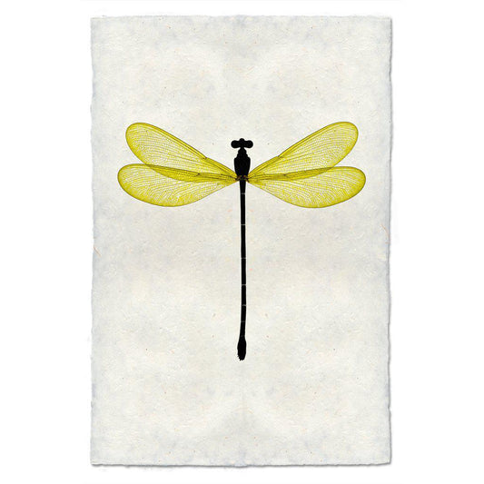 Yellow Damsel Print