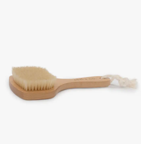Dry Body Brush (Fan Shaped) - Boar Bristles